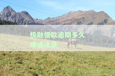 极融逾期几天会给紧急联系人打电话？会影响通讯录、上门催收及上征信吗？