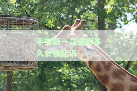 平安新一贷逾期多久会被起诉？逾期处理及征信影响全解析
