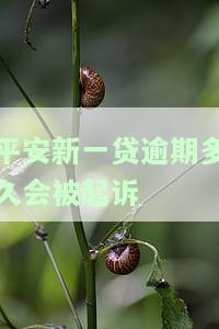 平安新一贷逾期多久会被起诉-平安新一贷逾期多久会被起诉?可以分期吗