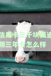 信用卡3000逾期三年：如何补救及可能的后果