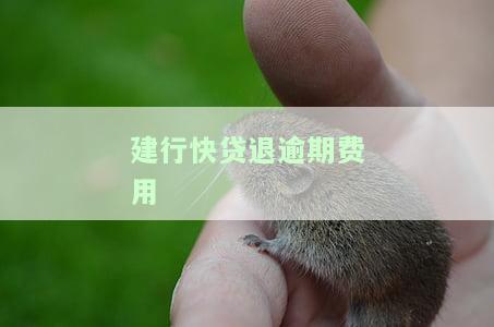 建设银行快贷逾期后能否取消自动扣款？如何避免再次扣款？