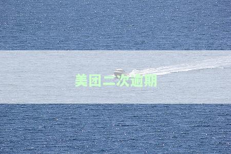美团二次逾期怎么办？逾期后多久能再次借款？