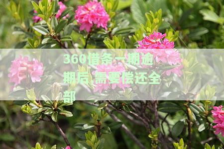 逾期还款一次就不能再借了吗？原因及解决办法