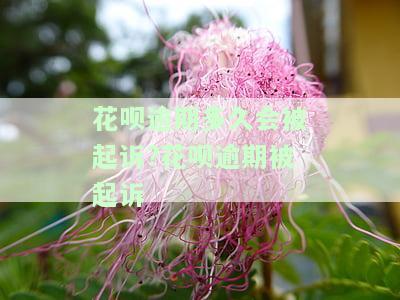 花呗逾期多久会被起诉?花呗逾期被起诉-花呗逾期多久会被起诉?花呗逾期被起诉会坐牢吗