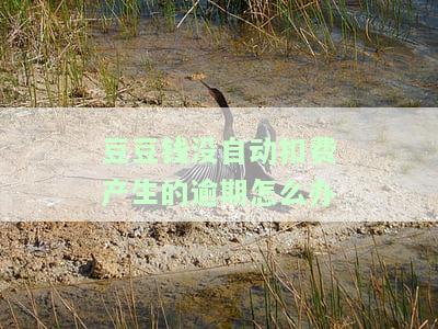 豆豆钱没自动扣费产生的逾期怎么办-豆豆钱不主动扣款导致逾期产生的费用怎么办