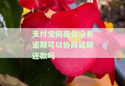 支付宝网商贷未逾期可否协商期还款？安全吗？知乎上有相关回答吗？到期无钱还能申请期吗？