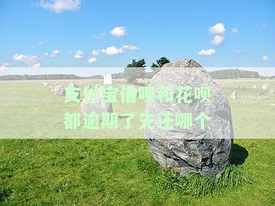 支付宝花呗、借呗逾期：影响及后果详解