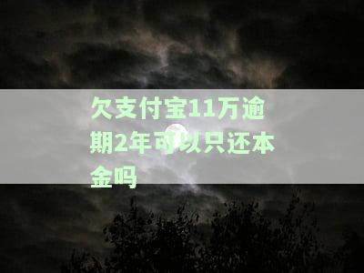 欠支付宝11万逾期2年能否只还本金？原因及解决办法