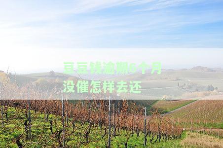 豆豆钱逾期三个月未还清，可能面临法律诉讼，需尽快处理
