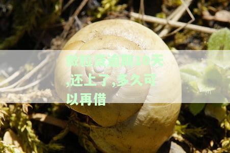 微粒贷逾期10天，还了小部分，还有影响吗？能再借吗？会有哪些后果？