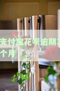 支付宝花呗逾期3个月的影响及解决方法