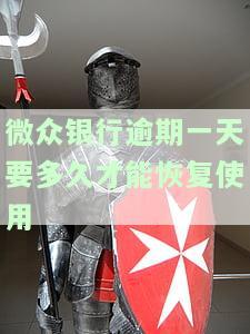 微众银行逾期一天要多久才能恢复使用