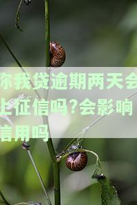 你我贷逾期两天会上征信吗?会影响信用吗-你我贷最多可以拖几天