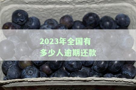 2020年全国多少人逾期？及历年数据比较