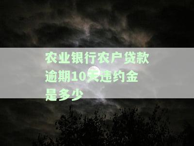 农业银行农户贷款逾期10天违约金及计算方法