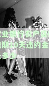 农业银行农户贷款逾期10天违约金是多少