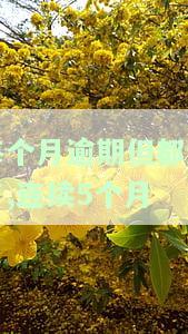 连续逾期5个月后还款，能否申请房贷？