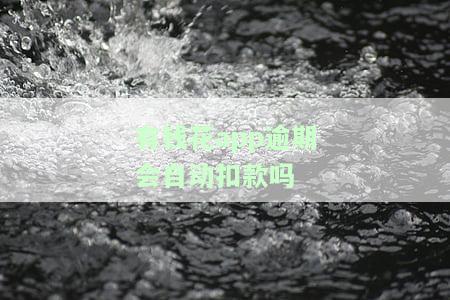 有钱花逾期后需全额还款，否则会产生何种后果？