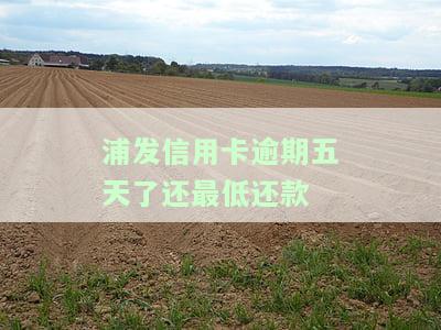 浦发信用卡逾期五天了还最低还款-浦发信用卡逾期五天了还最低还款有影响吗