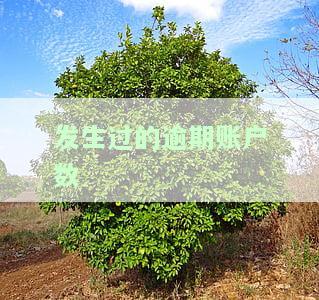 发生过的逾期账户数3个严重吗？定义与解释