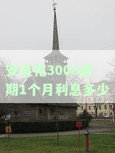 安逸花3000逾期1个月利息多少-安逸花3000逾期1个月利息多少
