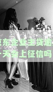 京东企业主贷多久上征信？了解审批及记录时间