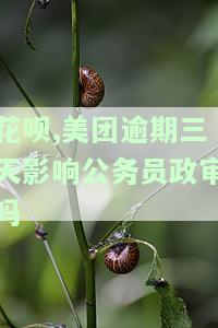 美团逾期多久上征信？花呗逾期几天上征信？