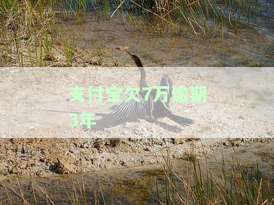 支付宝逾期三年欠7000元是否会被告？
