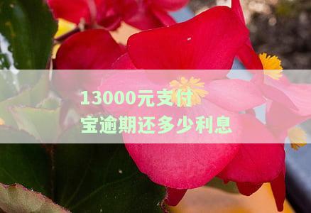 支付宝逾期14000会怎么样？后果严重吗？逾期14万、1万4和1700元都会被起诉吗？