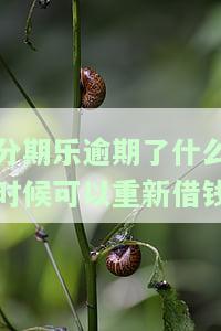 分期乐逾期还钱后多久可以取出来？恢复使用需要多长时间？
