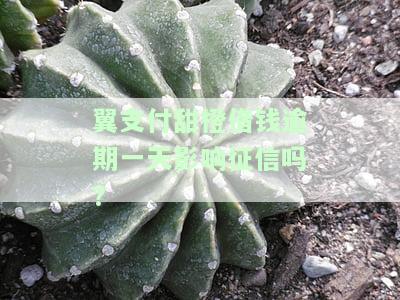 翼支付甜橙借钱逾期一天影响征信吗?