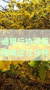 交通银行协商后又逾期晚还几分-交通银行协商后又逾期晚还几分会怎么样