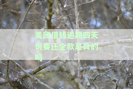 美团借钱逾期四天，真的需要还全款吗？是否会影响征信？