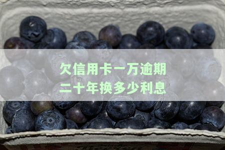 信用卡1w逾期2年的还款金额及利息是多少？