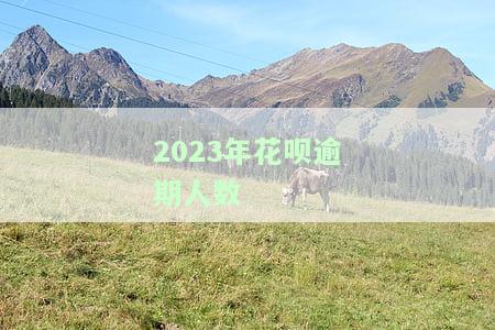 2020年花呗逾期人数及影响：上征信、后果严重，多少人逾期？7月逾期1500图曝光，2021年现状如何？