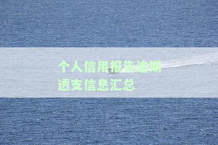 如何查看个人征信逾期透支信息汇总及结果？