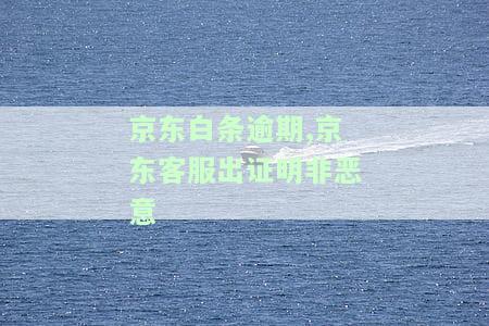 逾期，客服出具非恶意证明，需提交资料否则可能被上报