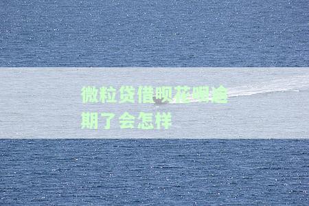 网贷借呗花呗微粒贷逾期：现在没钱能否每月慢慢还？逾期后果严重，无力偿还是否会导致坐牢？借呗逾期还能借款吗？若欠款无法归还应如何处理？