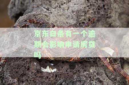 有一个逾期会影响申请房贷吗-有一个逾期会影响申请房贷吗
