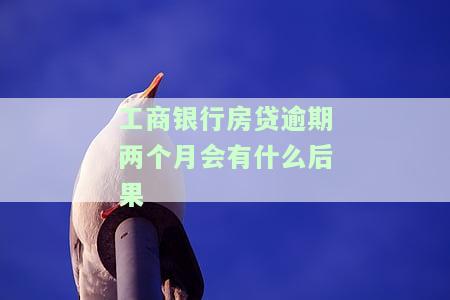 工商银行房贷逾期两个月会产生什么后果？逾期两天还款会有影响吗？