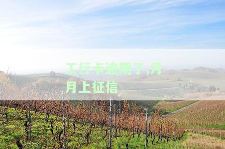 工行逾期还款成功后，多久会将记录上报至人行征信？