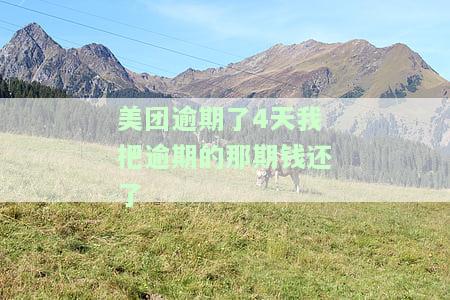 美团逾期4天后还款，对征信有何影响？能否再次借款使用？