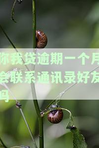 你我贷逾期一个月会联系通讯录好友吗
