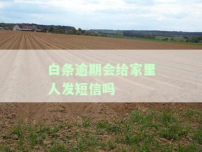 白条逾期是否会给家里人发短信？——知乎上的讨论与解答