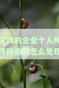 深圳企业个人所得税逾期处理方法及申报指南