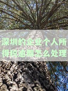 深圳企业所得税逾期申报可在大厅补报，首次免罚？具体流程及费用如何？