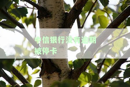 中信银行没有逾期被停卡，什么原因？如何解决只收不付问题？
