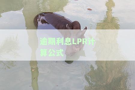 逾期利息LPR计算及法律规定：详解1.5倍、4倍计算方法与应用工具