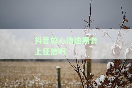 抖音放心借有宽限期三天？是否上征信及逾期处理方案全解析