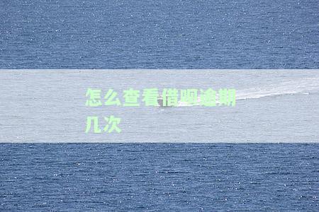 如何查看借呗逾期后的总借款金额？